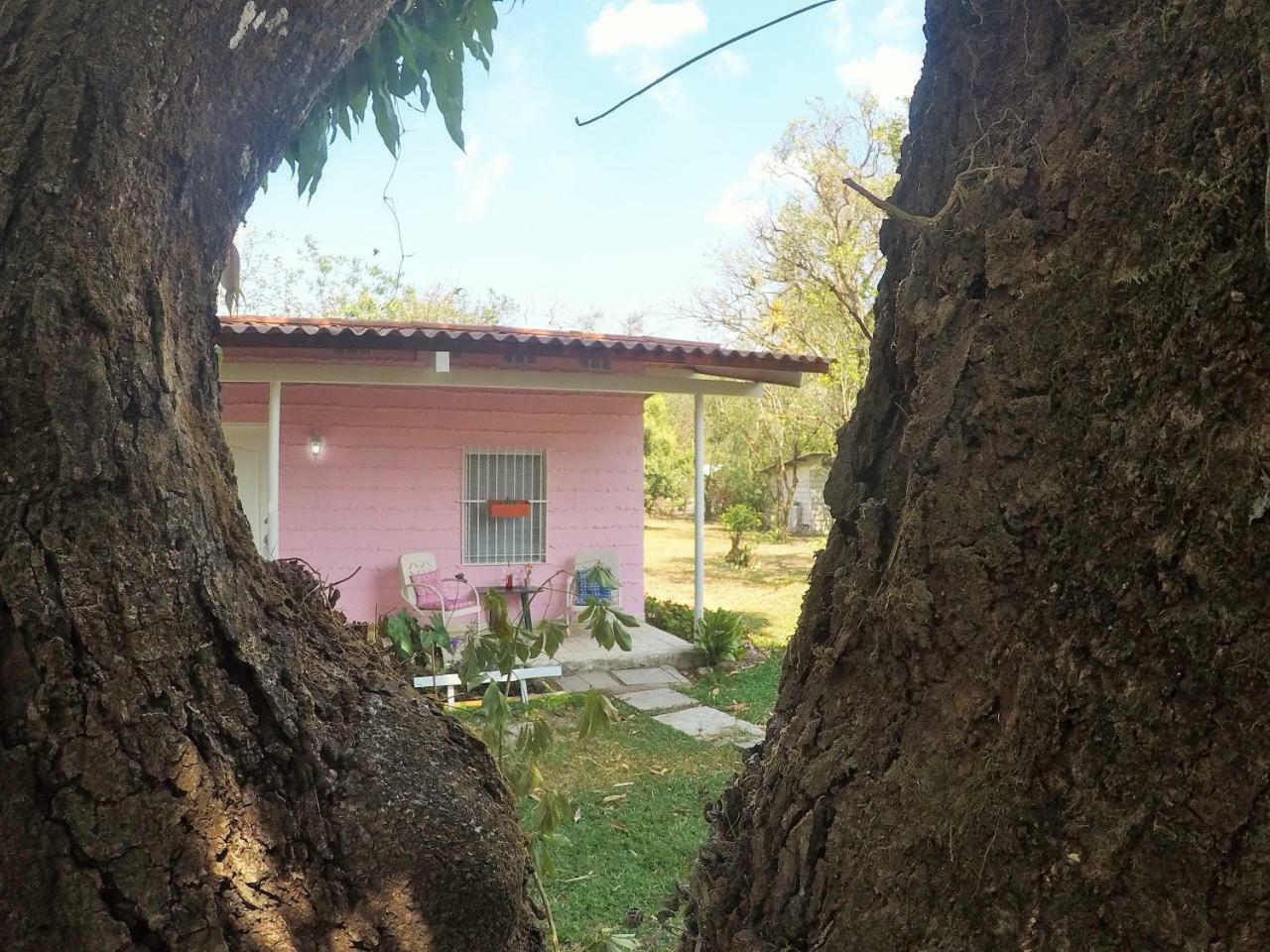 El Valle de Anton La Casita De El Valle المظهر الخارجي الصورة